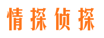 南市外遇出轨调查取证